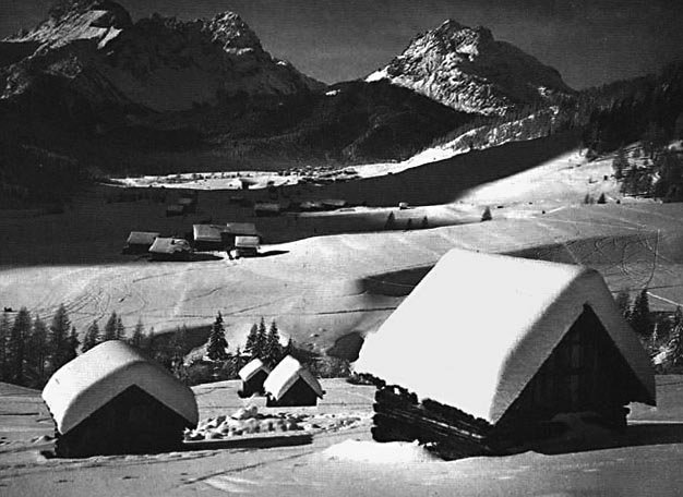 PLODAR LAIT UNT LEBM