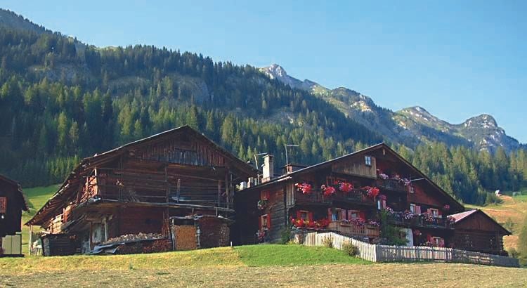 PLODAR LAIT UNT LEBM