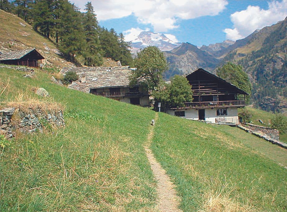 WALSER, VOLK DER ALPEN