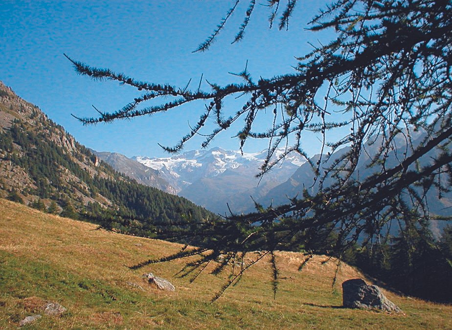 WALSER, VOLK DER ALPEN